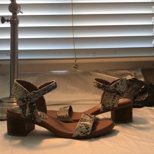 Steve Madden SnakeSkin Heels